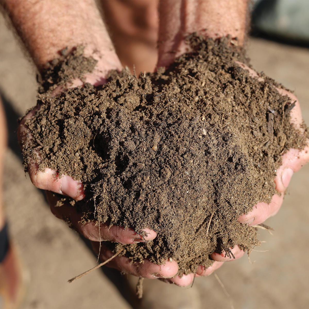 Garden Mix Limberlost Garden Centre