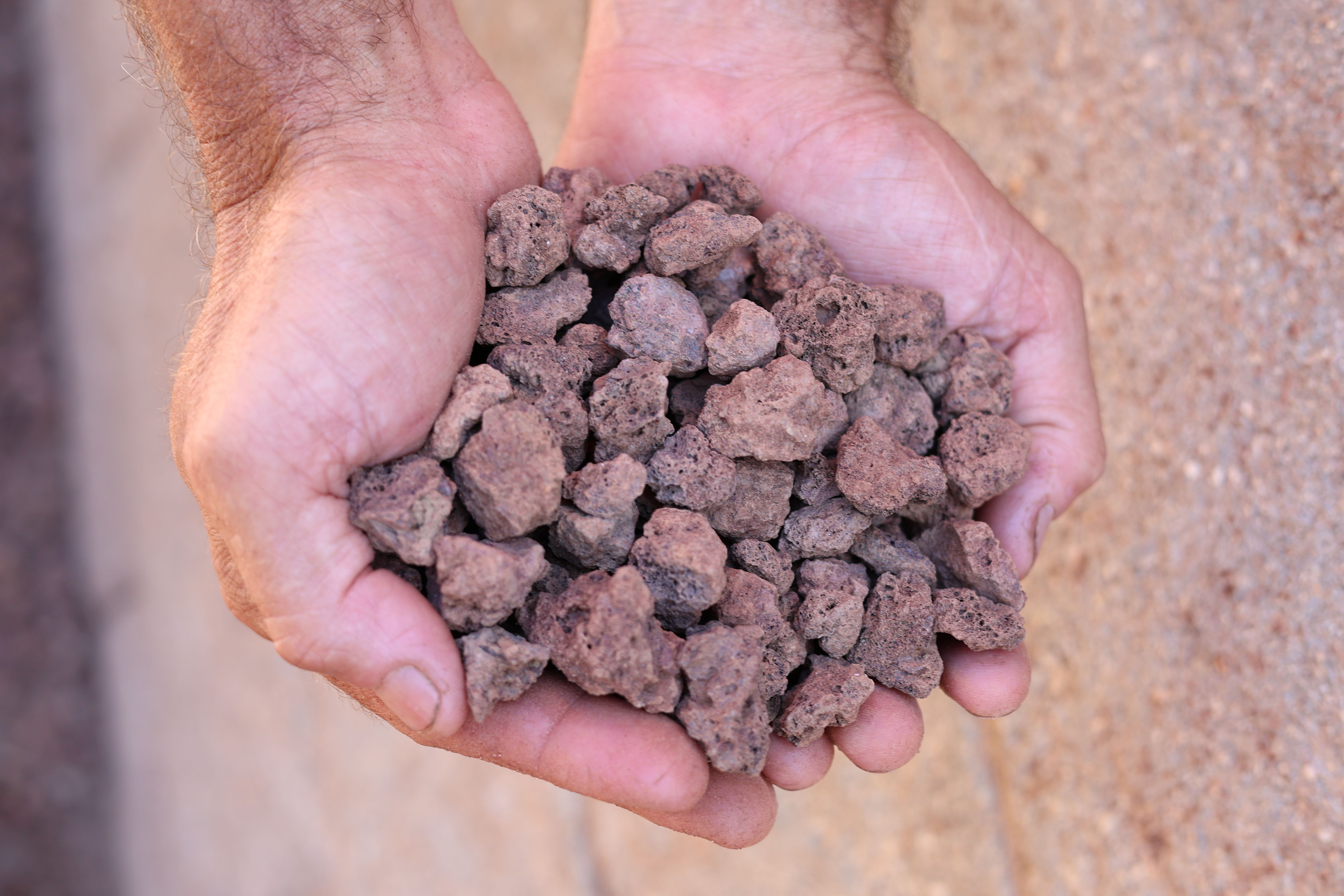 IMG_8339 Red Quincan resized